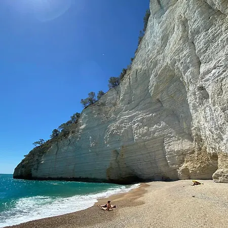 Club Solemare