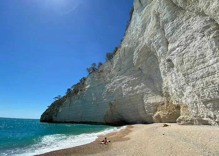 Club Solemare